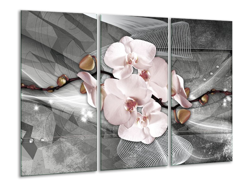 Canvas Schilderij Orchidee, Bloemen | Grijs | 120x80cm 3Luik