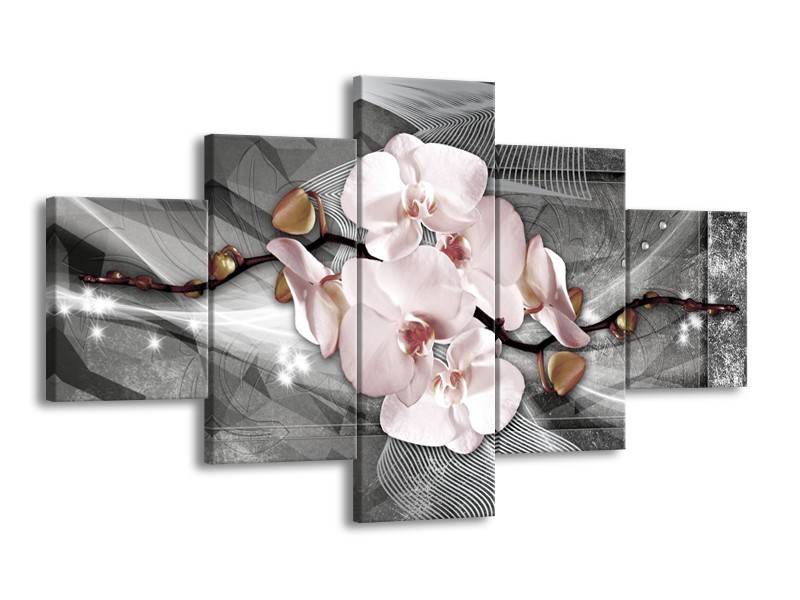 Canvas Schilderij Orchidee, Bloemen | Grijs | 125x70cm 5Luik