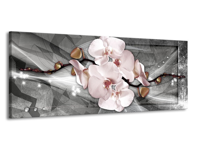 Glasschilderij Orchidee, Bloemen | Grijs | 145x58cm 1Luik