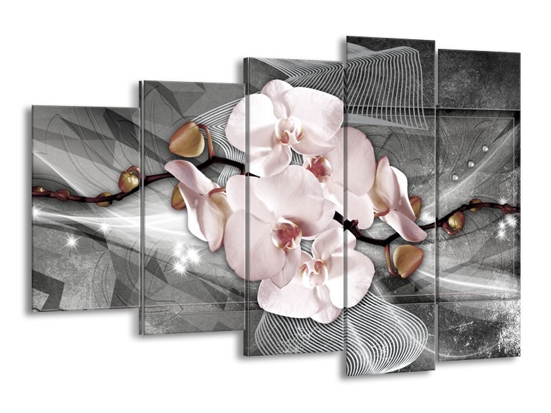 Canvas Schilderij Orchidee, Bloemen | Grijs | 150x100cm 5Luik