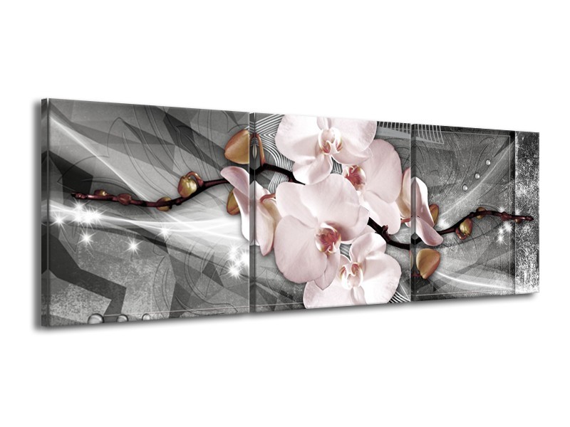 Glasschilderij Orchidee, Bloemen | Grijs | 150x50cm 3Luik