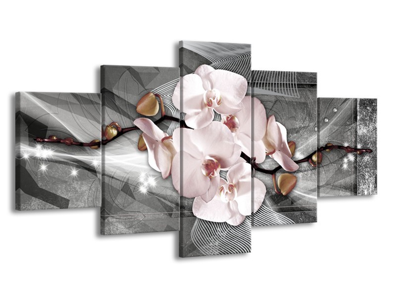 Canvas Schilderij Orchidee, Bloemen | Grijs | 150x80cm 5Luik
