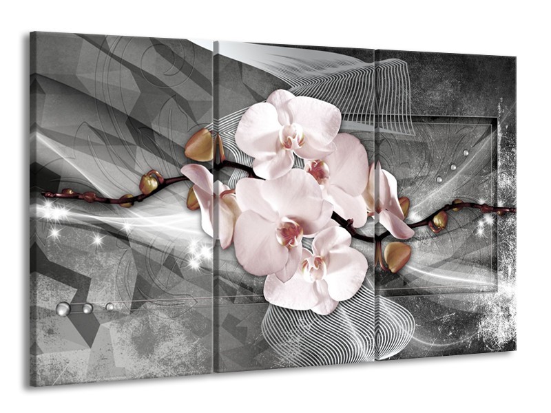Glasschilderij Orchidee, Bloemen | Grijs | 165x100cm 3Luik