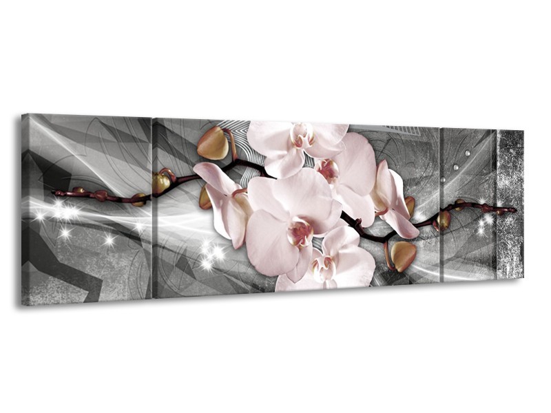 Canvas Schilderij Orchidee, Bloemen | Grijs | 170x50cm 3Luik