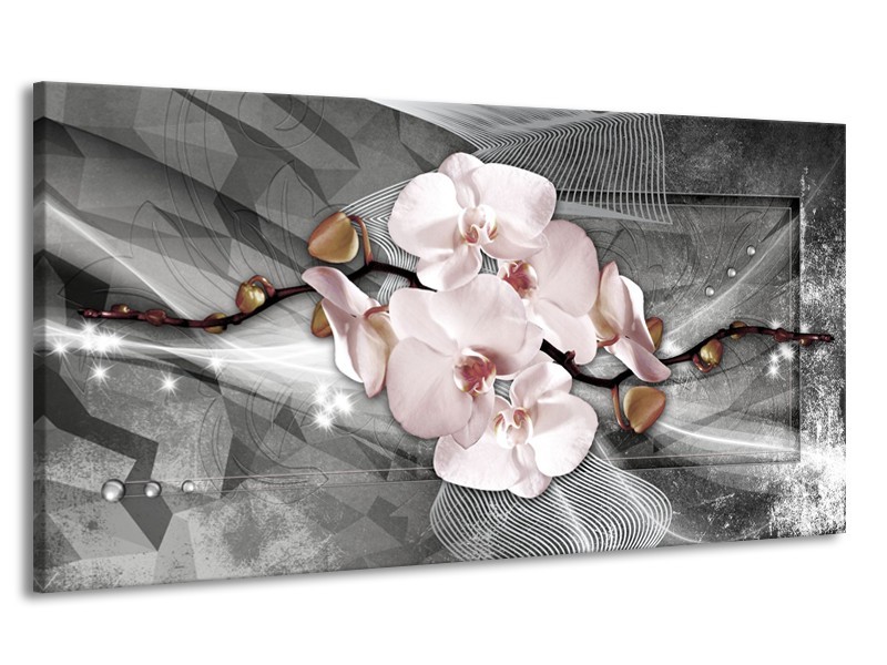 Canvas Schilderij Orchidee, Bloemen | Grijs | 170x90cm 1Luik