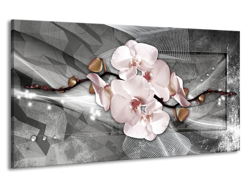 Canvas Schilderij Orchidee, Bloemen | Grijs | 190x100cm 1Luik