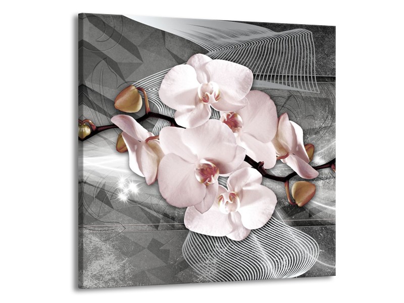 Canvas Schilderij Orchidee, Bloemen | Grijs | 70x70cm 1Luik