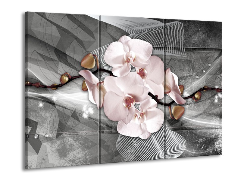 Glasschilderij Orchidee, Bloemen | Grijs | 60x90cm 3Luik