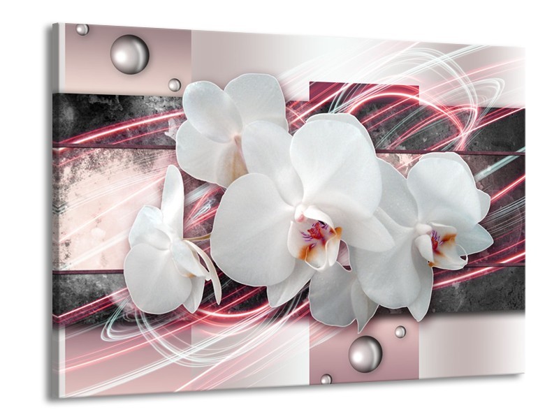 Canvas Schilderij Orchidee, Bloemen | Roze, Grijs, Wit | 100x70cm 1Luik