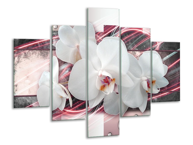 Glasschilderij Orchidee, Bloemen | Roze, Grijs, Wit | 100x70cm 5Luik