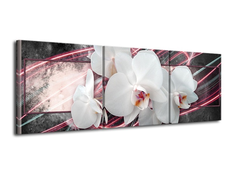 Glasschilderij Orchidee, Bloemen | Roze, Grijs, Wit | 120x40cm 3Luik