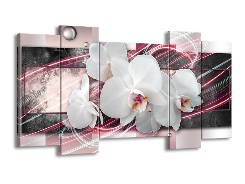 Canvas Schilderij Orchidee, Bloemen | Roze, Grijs, Wit | 120x65cm 5Luik