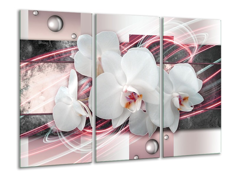 Canvas Schilderij Orchidee, Bloemen | Roze, Grijs, Wit | 120x80cm 3Luik