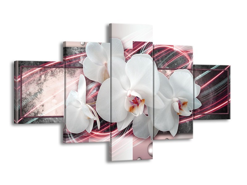 Canvas Schilderij Orchidee, Bloemen | Roze, Grijs, Wit | 125x70cm 5Luik