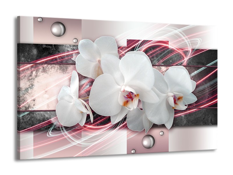 Glasschilderij Orchidee, Bloemen | Roze, Grijs, Wit | 140x90cm 1Luik