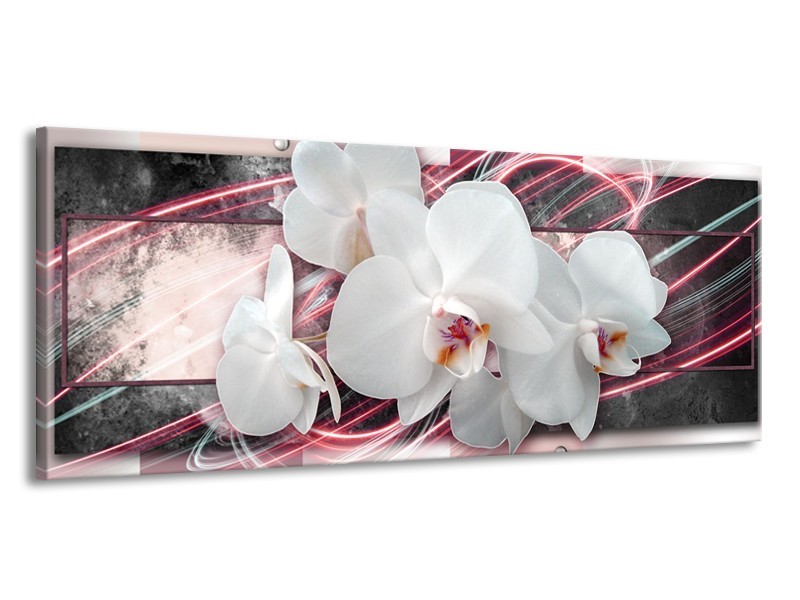 Canvas Schilderij Orchidee, Bloemen | Roze, Grijs, Wit | 145x58cm 1Luik
