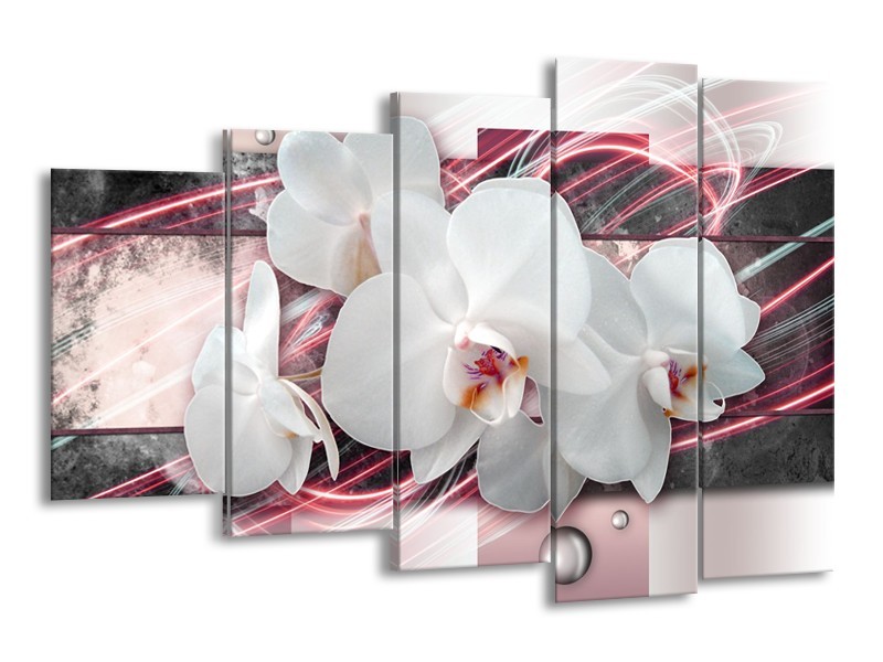 Canvas Schilderij Orchidee, Bloemen | Roze, Grijs, Wit | 150x100cm 5Luik