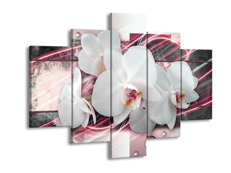 Canvas Schilderij Orchidee, Bloemen | Roze, Grijs, Wit | 150x105cm 5Luik