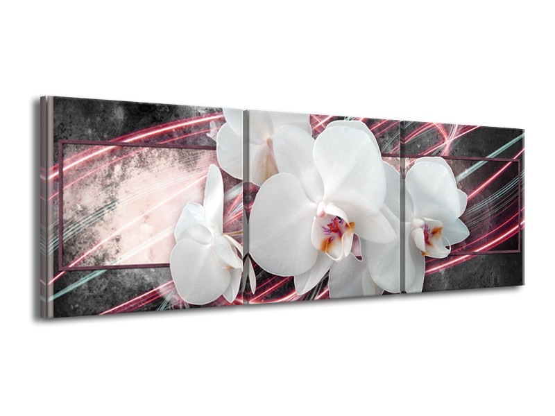 Canvas Schilderij Orchidee, Bloemen | Roze, Grijs, Wit | 150x50cm 3Luik