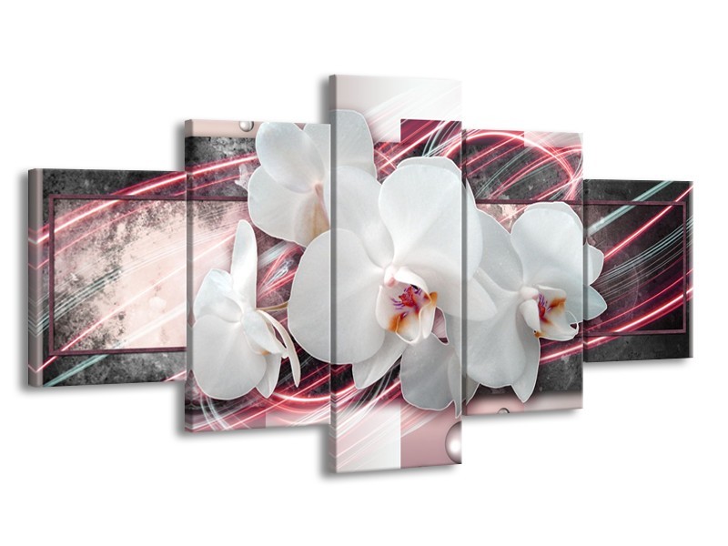 Glasschilderij Orchidee, Bloemen | Roze, Grijs, Wit | 150x80cm 5Luik