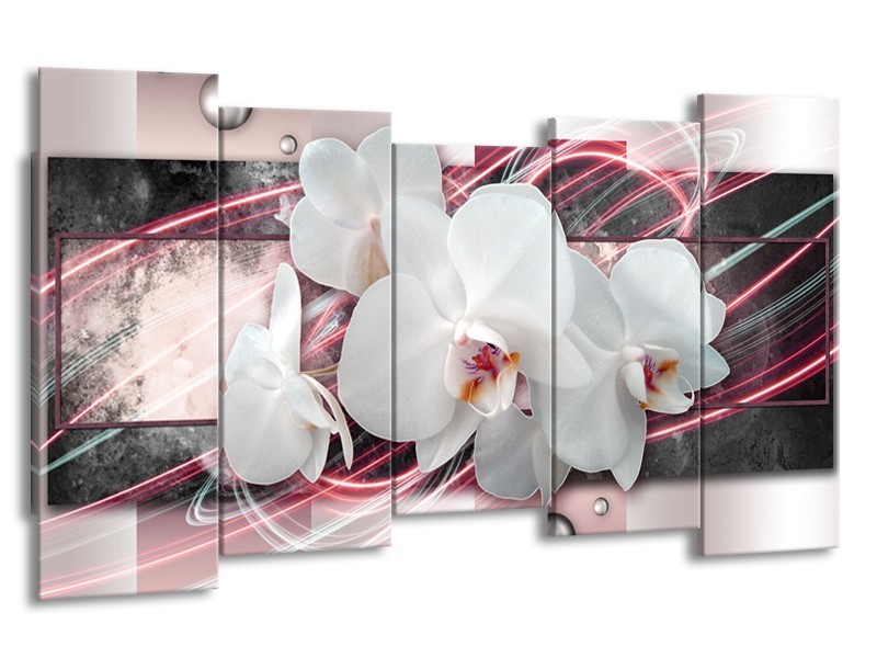 Canvas Schilderij Orchidee, Bloemen | Roze, Grijs, Wit | 150x80cm 5Luik