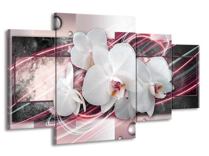 Glasschilderij Orchidee, Bloemen | Roze, Grijs, Wit | 160x90cm 4Luik