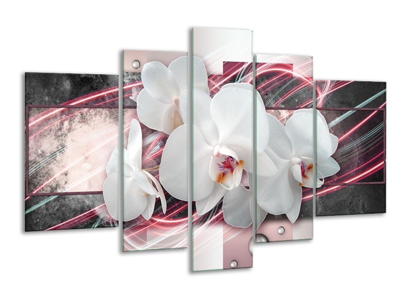 Glasschilderij Orchidee, Bloemen | Roze, Grijs, Wit | 170x100cm 5Luik