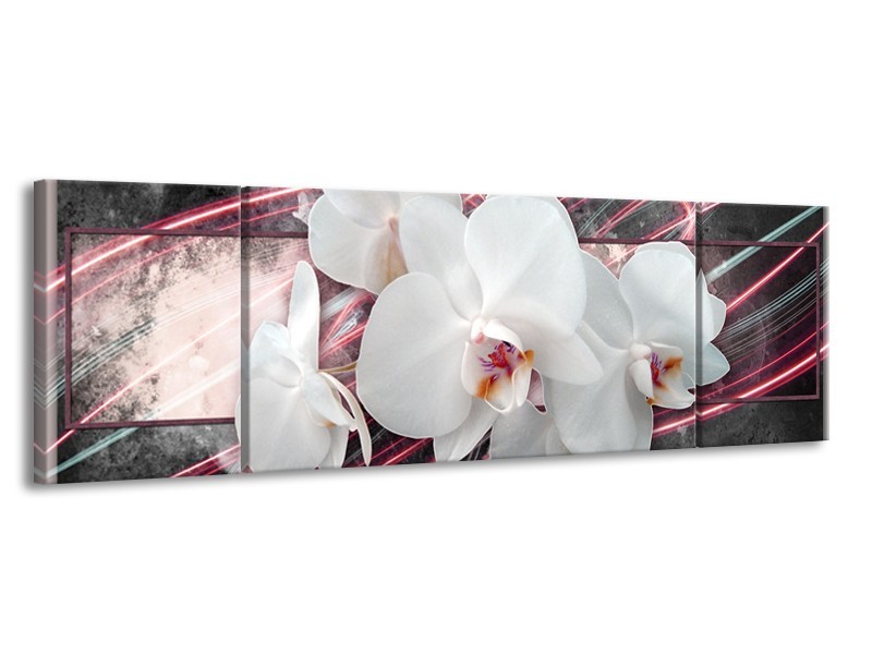 Glasschilderij Orchidee, Bloemen | Roze, Grijs, Wit | 170x50cm 3Luik