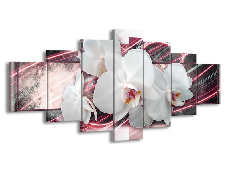 Glasschilderij Orchidee, Bloemen | Roze, Grijs, Wit | 210x100cm 7Luik