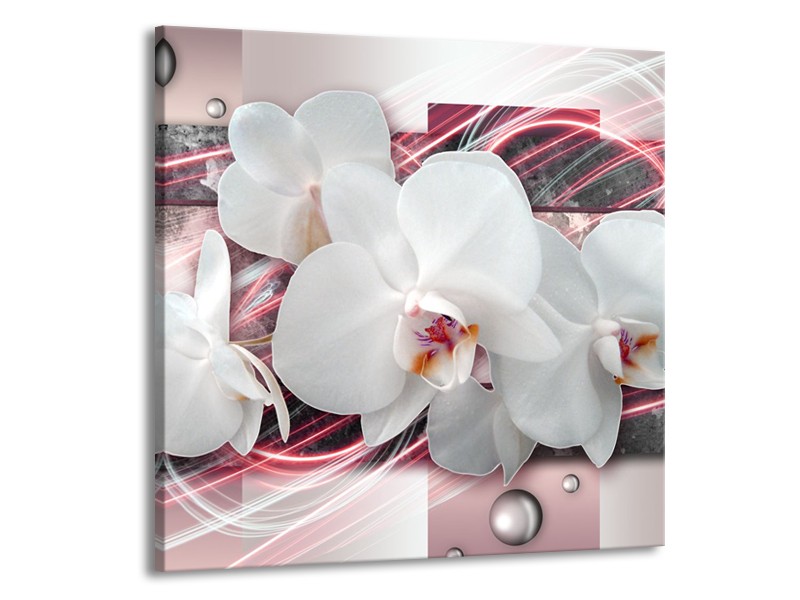 Canvas Schilderij Orchidee, Bloemen | Roze, Grijs, Wit | 50x50cm 1Luik
