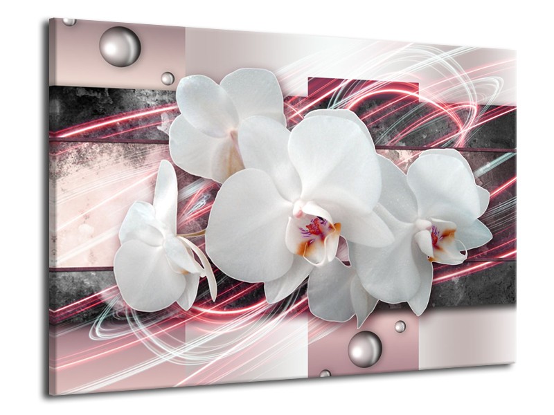 Glasschilderij Orchidee, Bloemen | Roze, Grijs, Wit | 70x50cm 1Luik