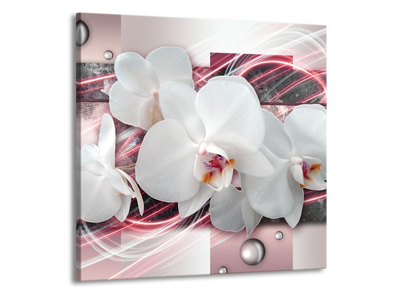 Canvas Schilderij Orchidee, Bloemen | Roze, Grijs, Wit | 70x70cm 1Luik