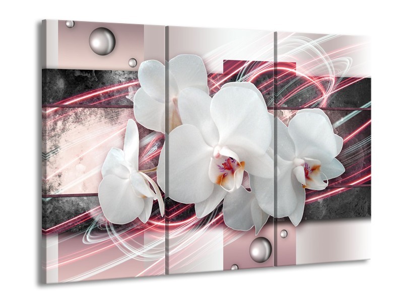 Glasschilderij Orchidee, Bloemen | Roze, Grijs, Wit | 60x90cm 3Luik