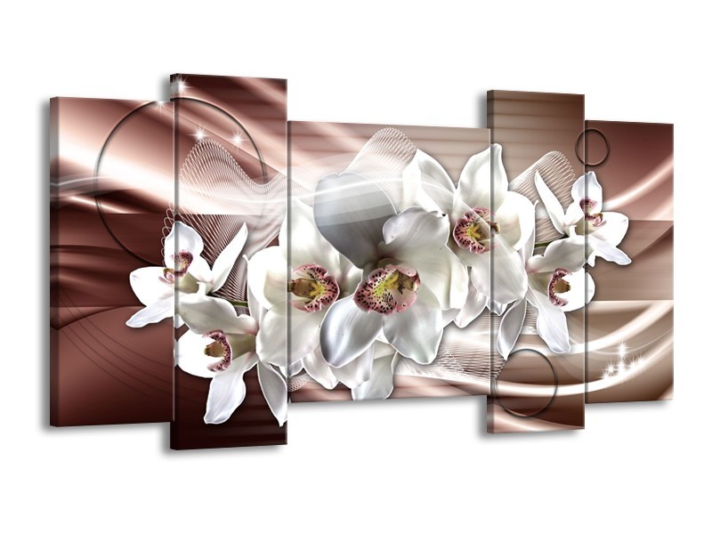 Glasschilderij Orchidee, Bloemen | Grijs, Bruin | 120x65cm 5Luik
