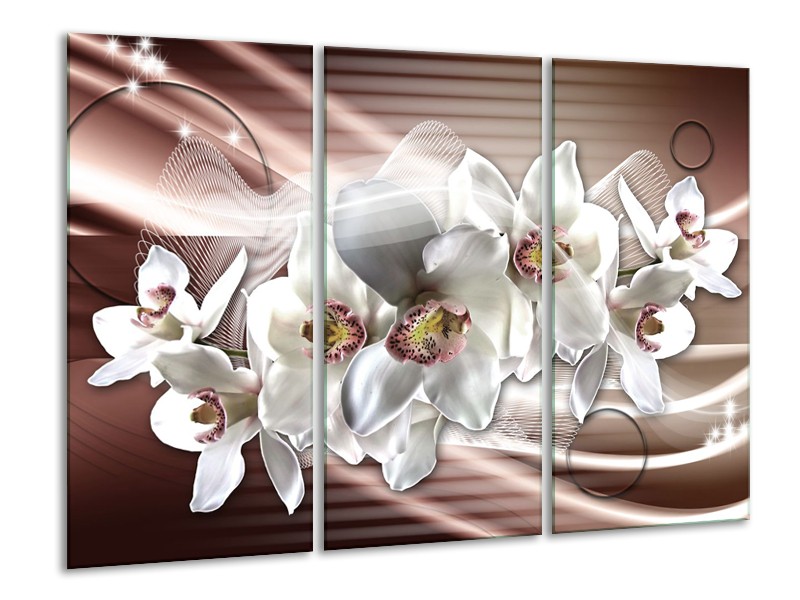 Glasschilderij Orchidee, Bloemen | Grijs, Bruin | 120x80cm 3Luik