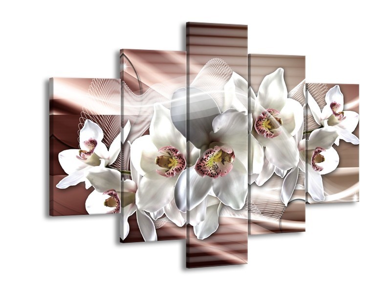 Canvas Schilderij Orchidee, Bloemen | Grijs, Bruin | 150x105cm 5Luik