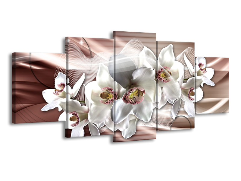 Glasschilderij Orchidee, Bloemen | Grijs, Bruin | 150x70cm 5Luik