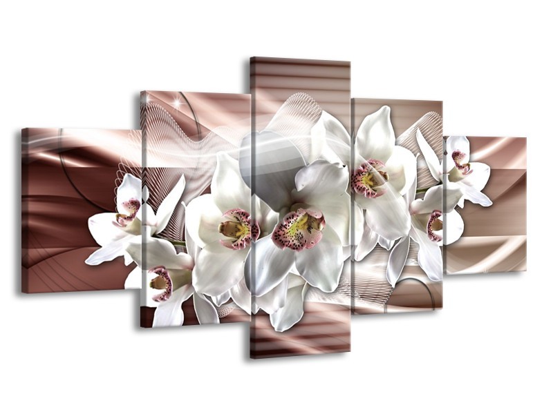 Glasschilderij Orchidee, Bloemen | Grijs, Bruin | 150x80cm 5Luik