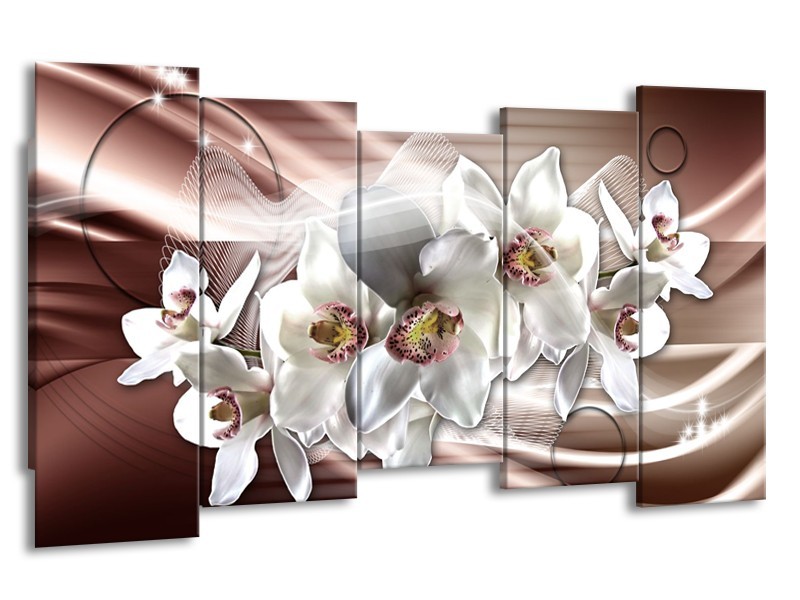 Glasschilderij Orchidee, Bloemen | Grijs, Bruin | 150x80cm 5Luik