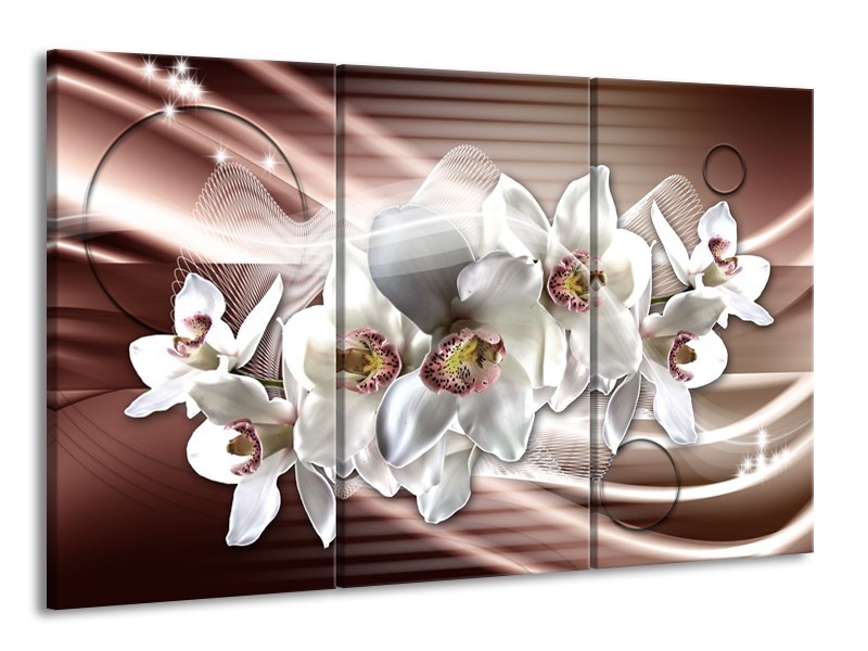 Canvas Schilderij Orchidee, Bloemen | Grijs, Bruin | 165x100cm 3Luik