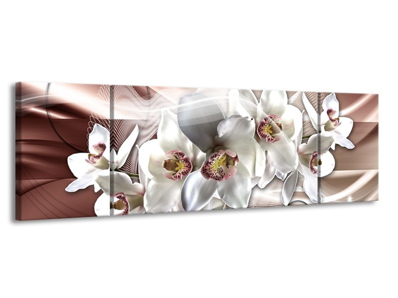 Canvas Schilderij Orchidee, Bloemen | Grijs, Bruin | 170x50cm 3Luik