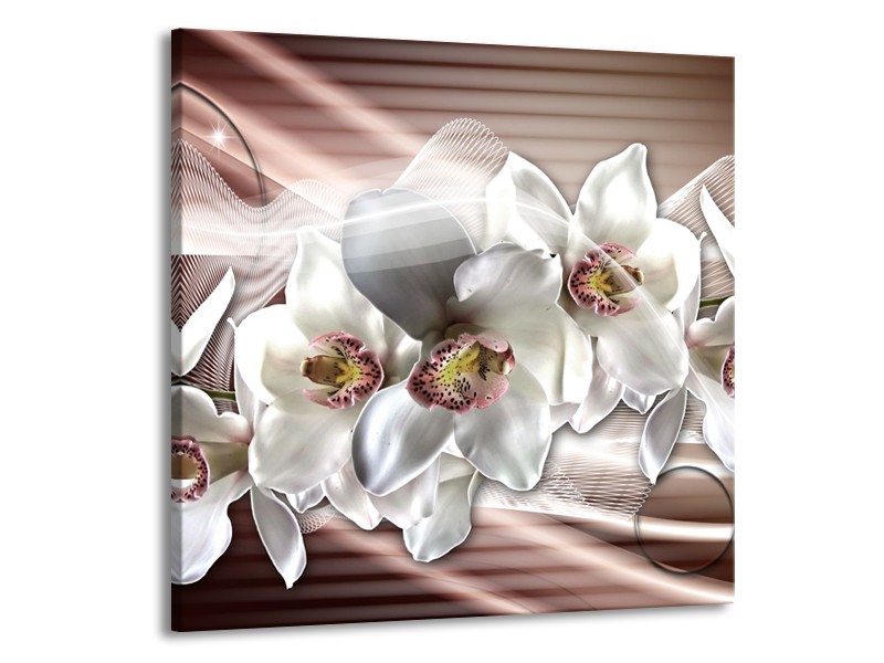 Canvas Schilderij Orchidee, Bloemen | Grijs, Bruin | 50x50cm 1Luik