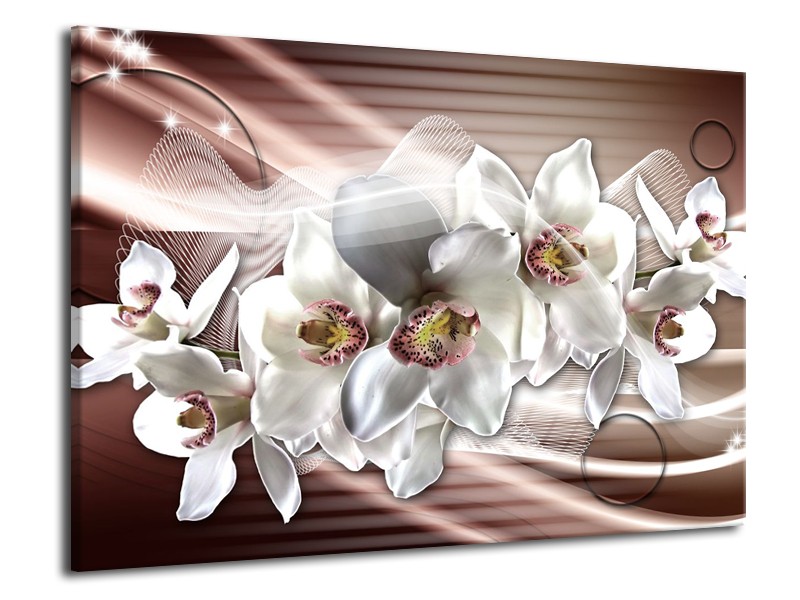 Glasschilderij Orchidee, Bloemen | Grijs, Bruin | 70x50cm 1Luik