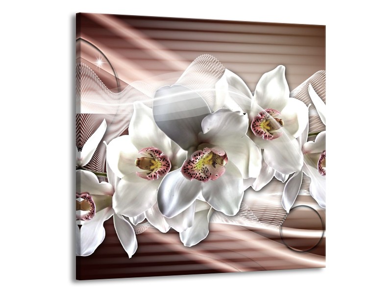 Canvas Schilderij Orchidee, Bloemen | Grijs, Bruin | 70x70cm 1Luik