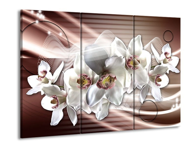 Canvas Schilderij Orchidee, Bloemen | Grijs, Bruin | 60x90cm 3Luik