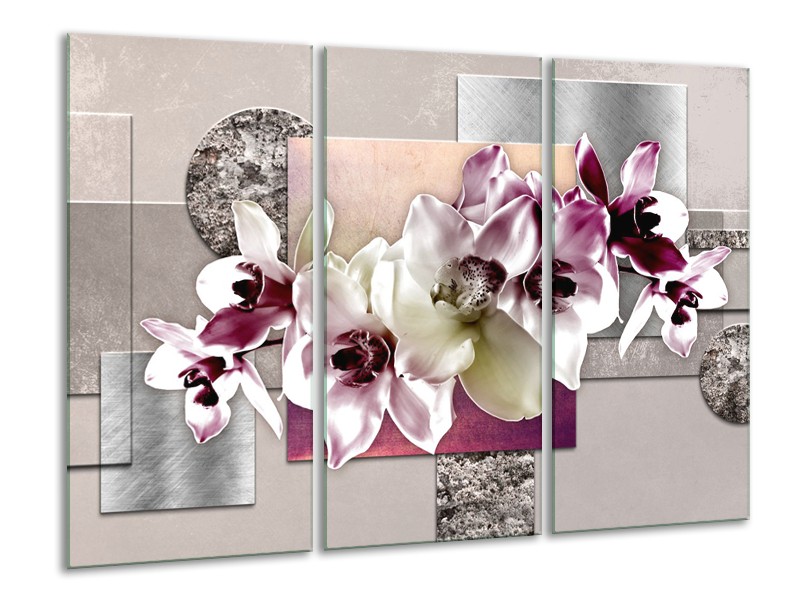 Glasschilderij Orchidee, Bloemen | Paars, Grijs | 120x80cm 3Luik