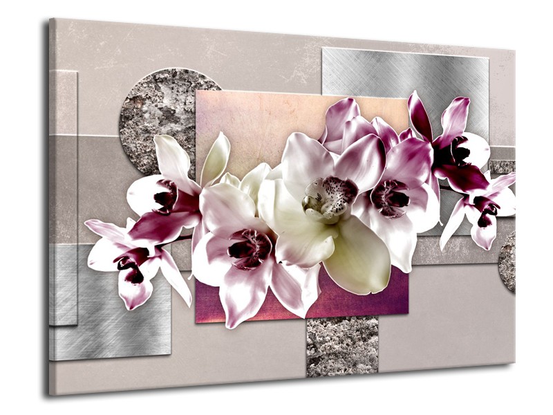 Glasschilderij Orchidee, Bloemen | Paars, Grijs | 70x50cm 1Luik