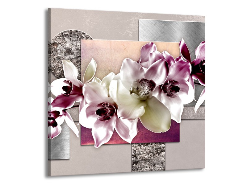 Glasschilderij Orchidee, Bloemen | Paars, Grijs | 70x70cm 1Luik