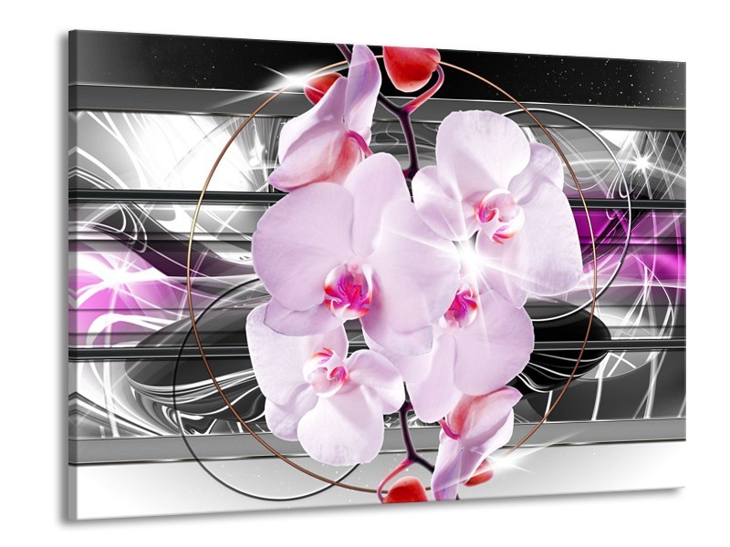 Canvas Schilderij Orchidee, Bloemen | Grijs, Paars | 100x70cm 1Luik