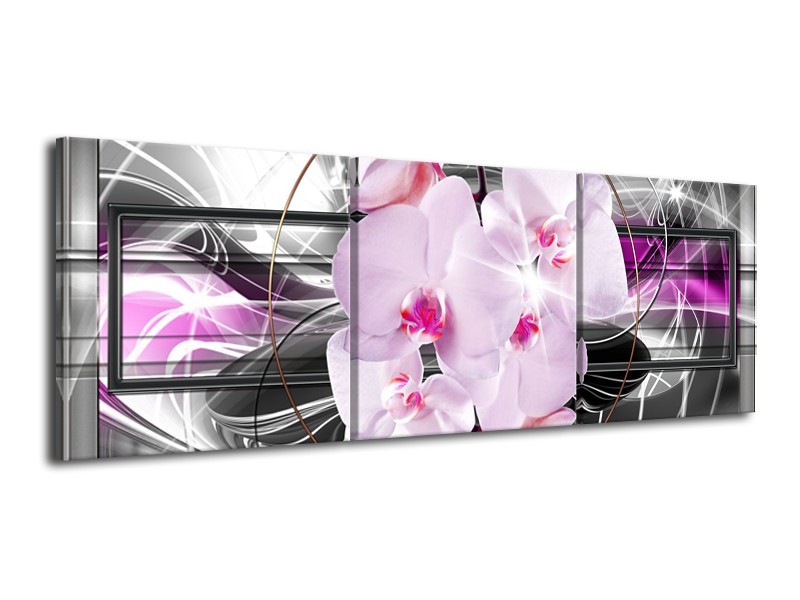 Canvas Schilderij Orchidee, Bloemen | Grijs, Paars | 120x40cm 3Luik
